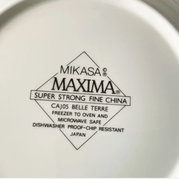 Mikasa Maxima Super Strong Fine China CAJ05 Belle Terre Set Of 4 Bowls 9” - Picture 3 of 5